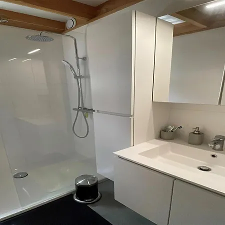 Charming Polder House With Garden, Cleaning Included Holiday home