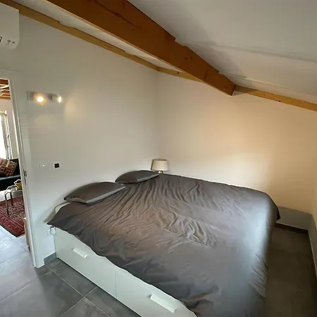 Holiday home Charming Polder House With Garden, Cleaning Included *